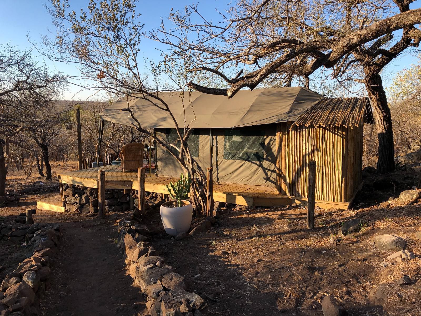 The Wild Blue Lodge Safari And Spa Ndlovumzi Nature Reserve Hoedspruit Limpopo Province South Africa Cactus, Plant, Nature, Tent, Architecture