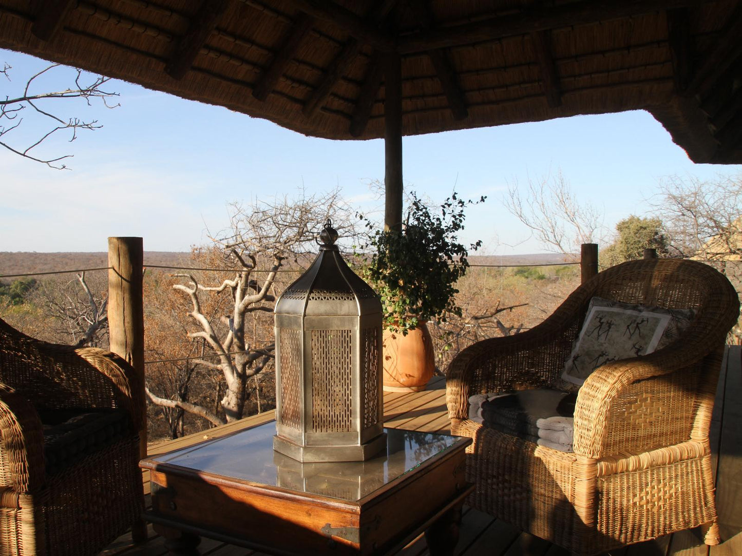 Luxury Baobab Tree Cottage @ The Wild Blue Lodge  Safari & Spa