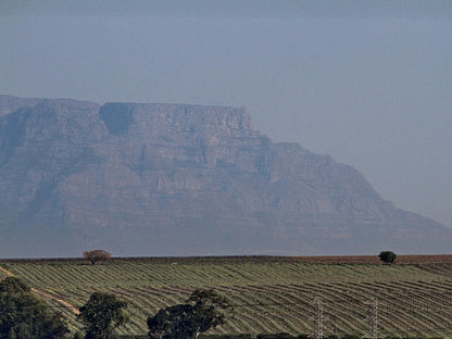 Wild Clover Accommodation Stellenbosch Western Cape South Africa Framing, Nature