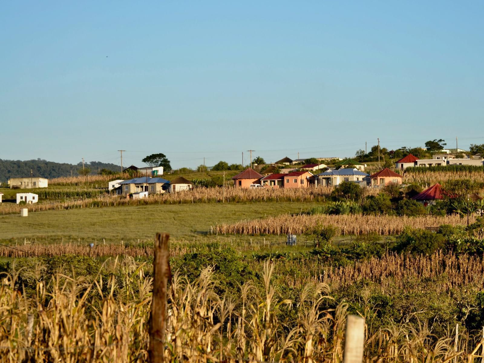 Wild Coast Homestays Selborne East London Eastern Cape South Africa Complementary Colors, Field, Nature, Agriculture, Lowland