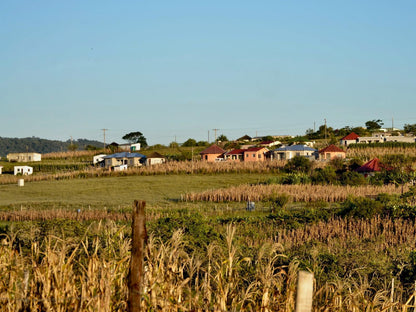 Wild Coast Homestays Selborne East London Eastern Cape South Africa Complementary Colors, Field, Nature, Agriculture, Lowland