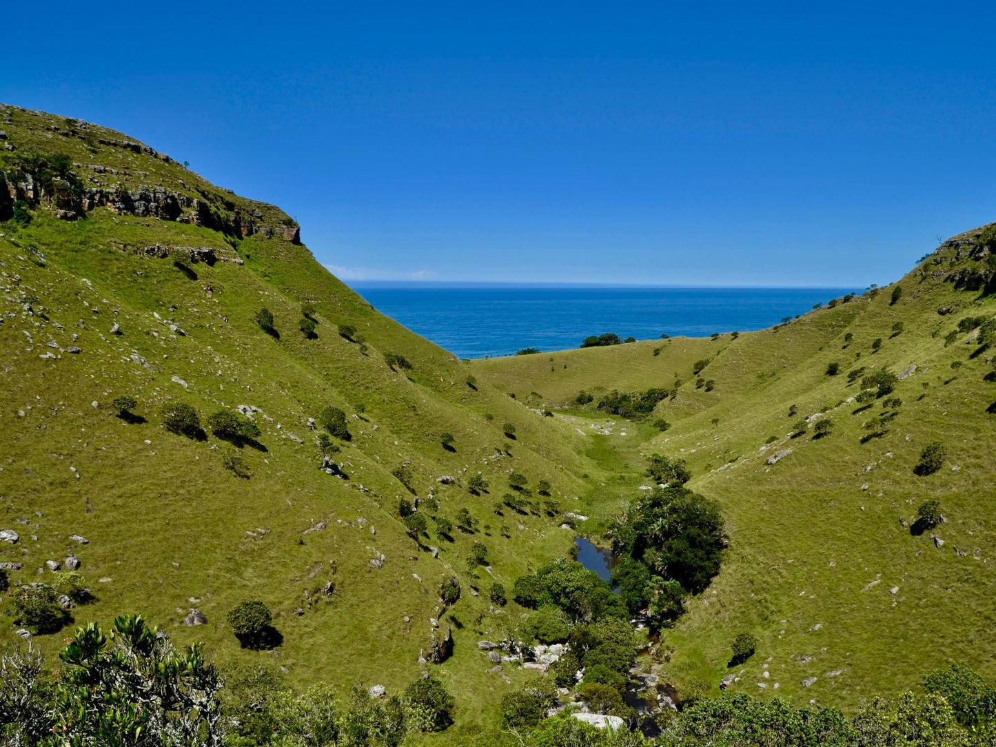 Wild Coast Homestays Selborne East London Eastern Cape South Africa Complementary Colors, Colorful, Cliff, Nature, Highland