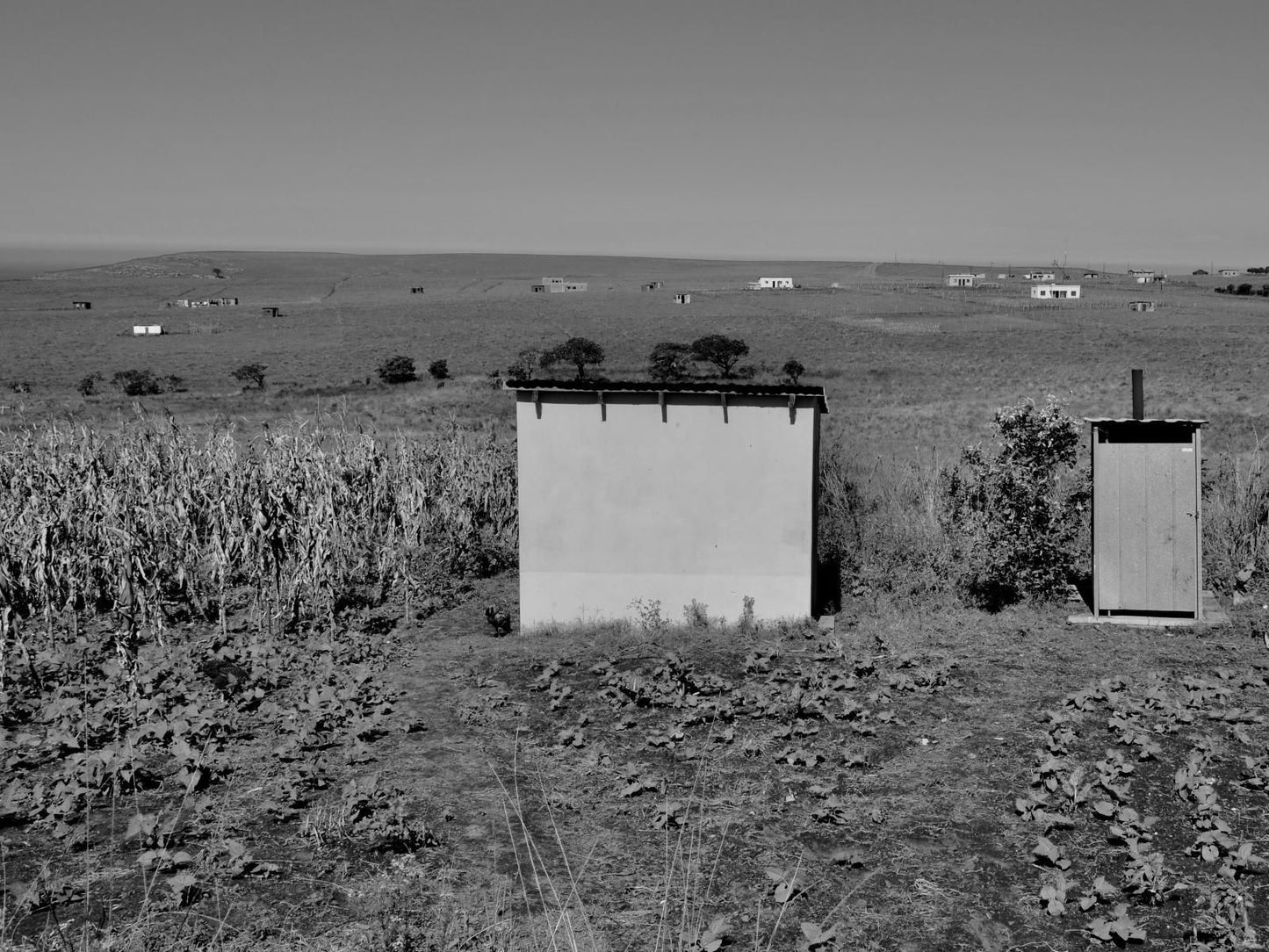 Wild Coast Homestays Selborne East London Eastern Cape South Africa Colorless, Black And White, Field, Nature, Agriculture, Grave, Architecture, Religion, Cemetery, Lowland