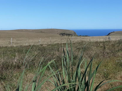 Wild Coast Homestays Selborne East London Eastern Cape South Africa Beach, Nature, Sand, Cliff