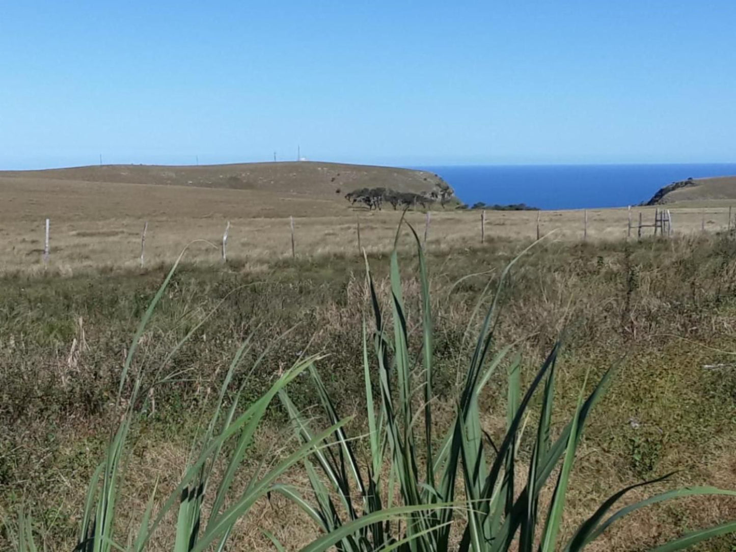 Wild Coast Homestays Selborne East London Eastern Cape South Africa Cliff, Nature