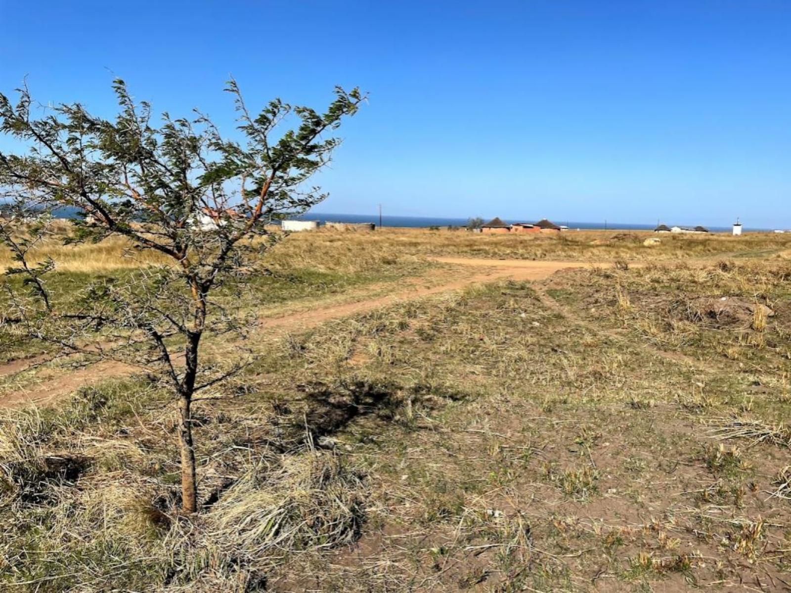 Wild Coast Homestays Selborne East London Eastern Cape South Africa Complementary Colors, Lowland, Nature