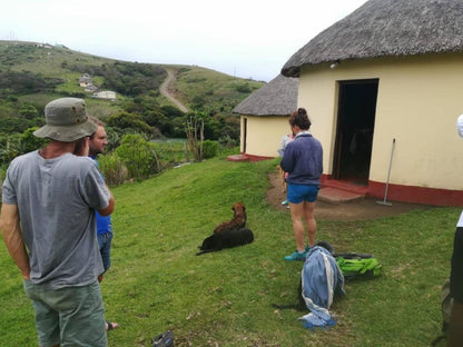 Noqhekwana Village Homestay Huts @ Wild Coast Homestays