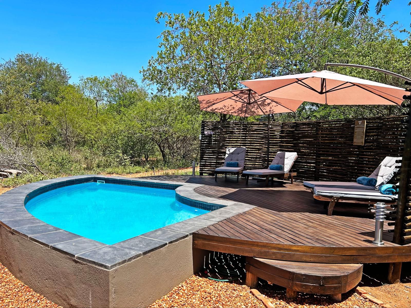 Wild Dog Guest Lodge Hoedspruit Limpopo Province South Africa Complementary Colors, Swimming Pool