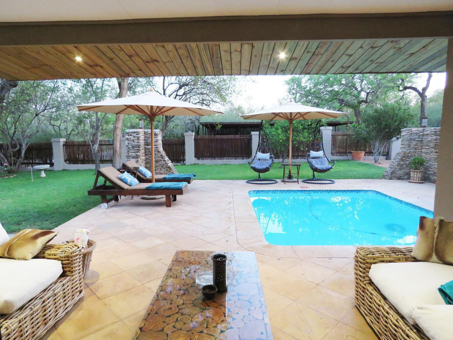 Wild Dog Guest Lodge Hoedspruit Limpopo Province South Africa Complementary Colors, Garden, Nature, Plant, Swimming Pool