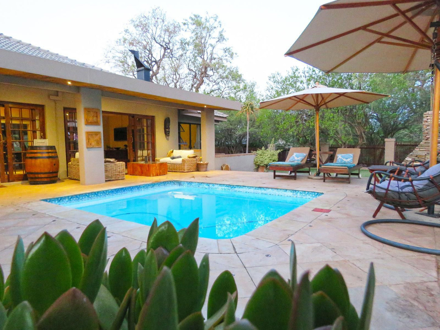 Wild Dog Guest Lodge Hoedspruit Limpopo Province South Africa House, Building, Architecture, Swimming Pool