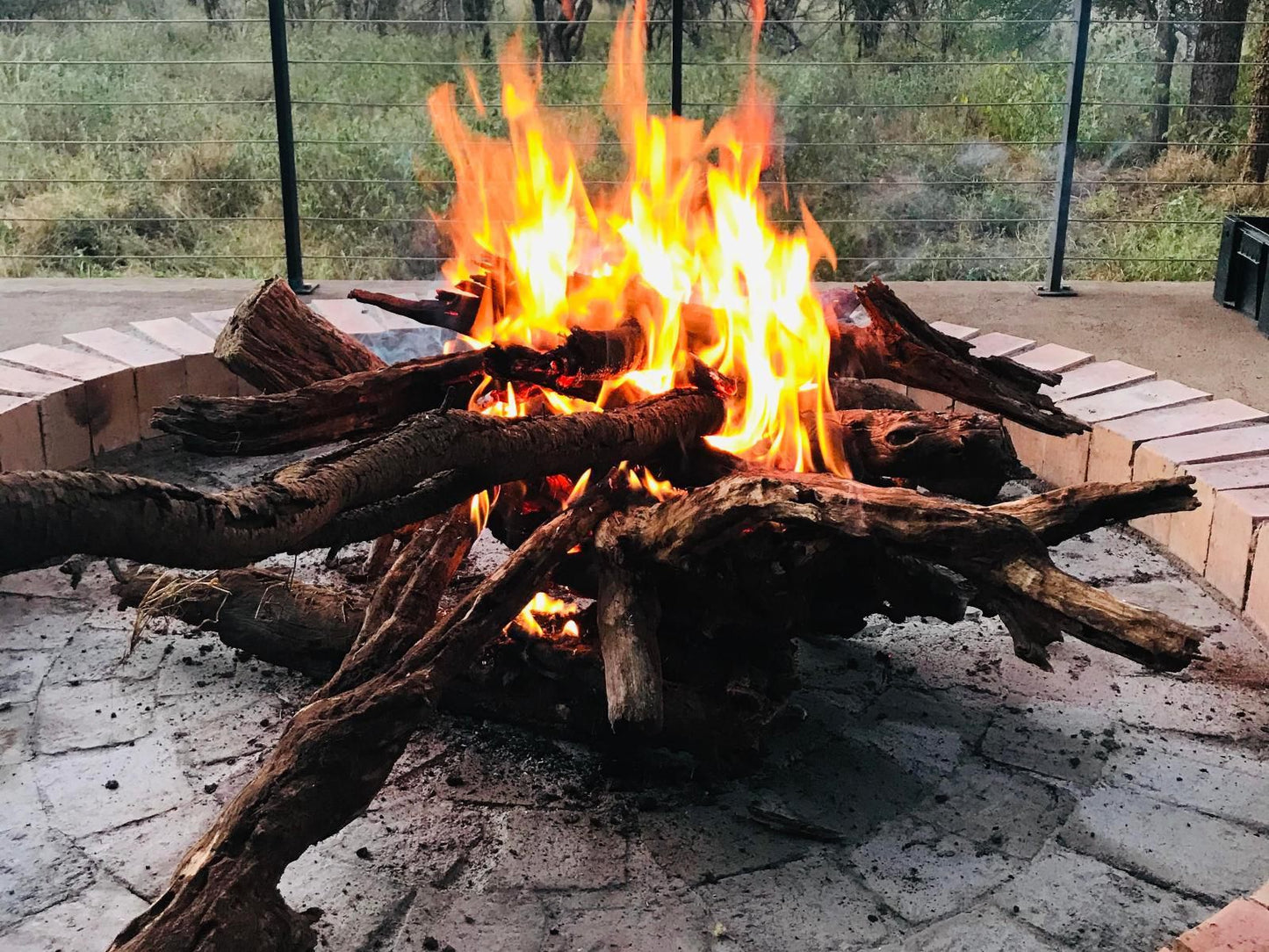 Wild Dog Guest Lodge Hoedspruit Limpopo Province South Africa Fire, Nature