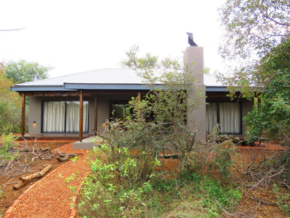 Wild Dog Guest Lodge Hoedspruit Limpopo Province South Africa Building, Architecture, House