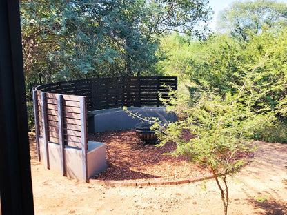 Wild Dog Guest Lodge Hoedspruit Limpopo Province South Africa Tree, Plant, Nature, Wood