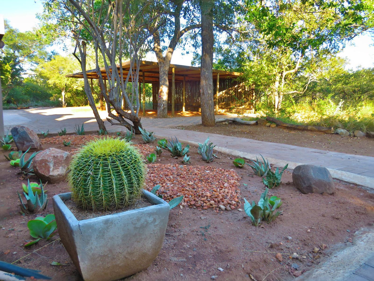 Nyala Cottage @ Wild Dog Guest Lodge