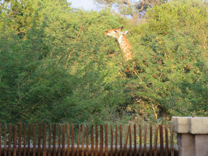 Nyala Cottage @ Wild Dog Guest Lodge