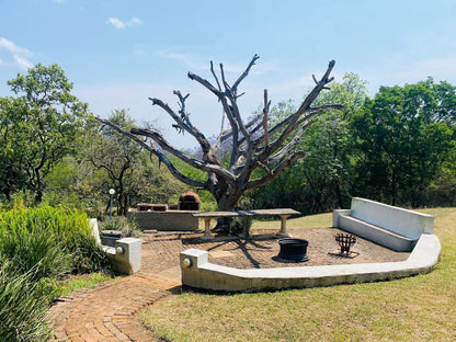 Wild Fig Guesthouse White River Mpumalanga South Africa Complementary Colors, Tree, Plant, Nature, Wood