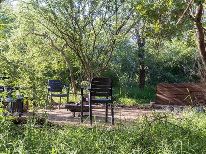 Wild Heart Safari Accommodation Hoedspruit Limpopo Province South Africa 