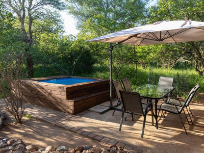 Wild Heart Safari Accommodation Hoedspruit Limpopo Province South Africa Garden, Nature, Plant, Swimming Pool