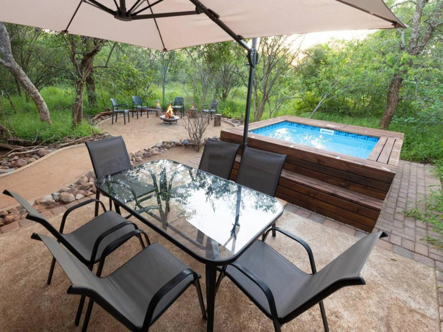 Wild Heart Safari Accommodation Hoedspruit Limpopo Province South Africa Garden, Nature, Plant, Swimming Pool