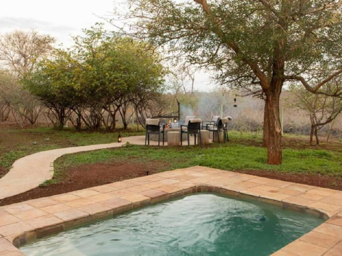 Wild Heart Safari Accommodation Hoedspruit Limpopo Province South Africa Garden, Nature, Plant, Swimming Pool