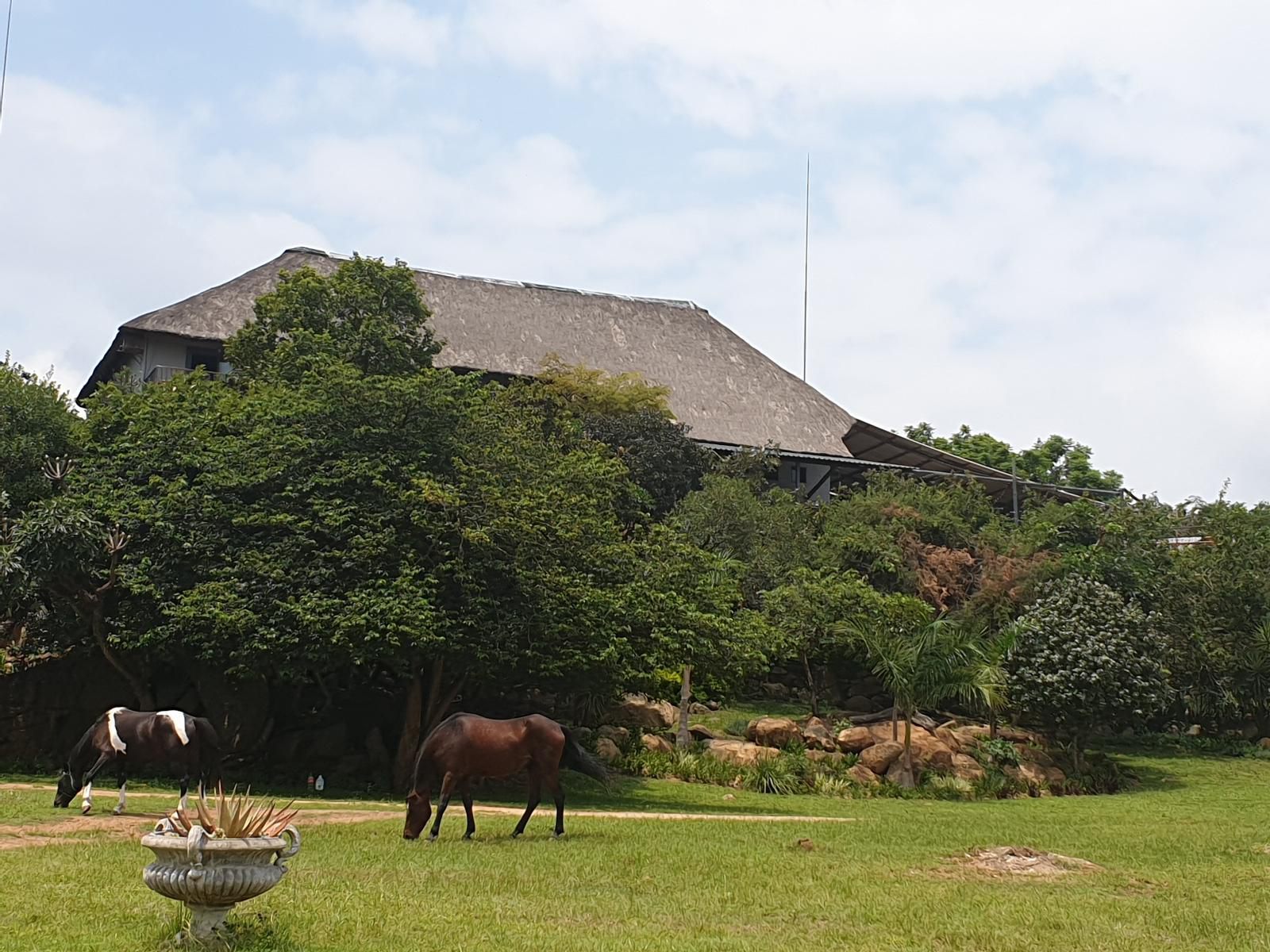 Wild Medlar Accommodation And Venue Nelspruit Mpumalanga South Africa Complementary Colors