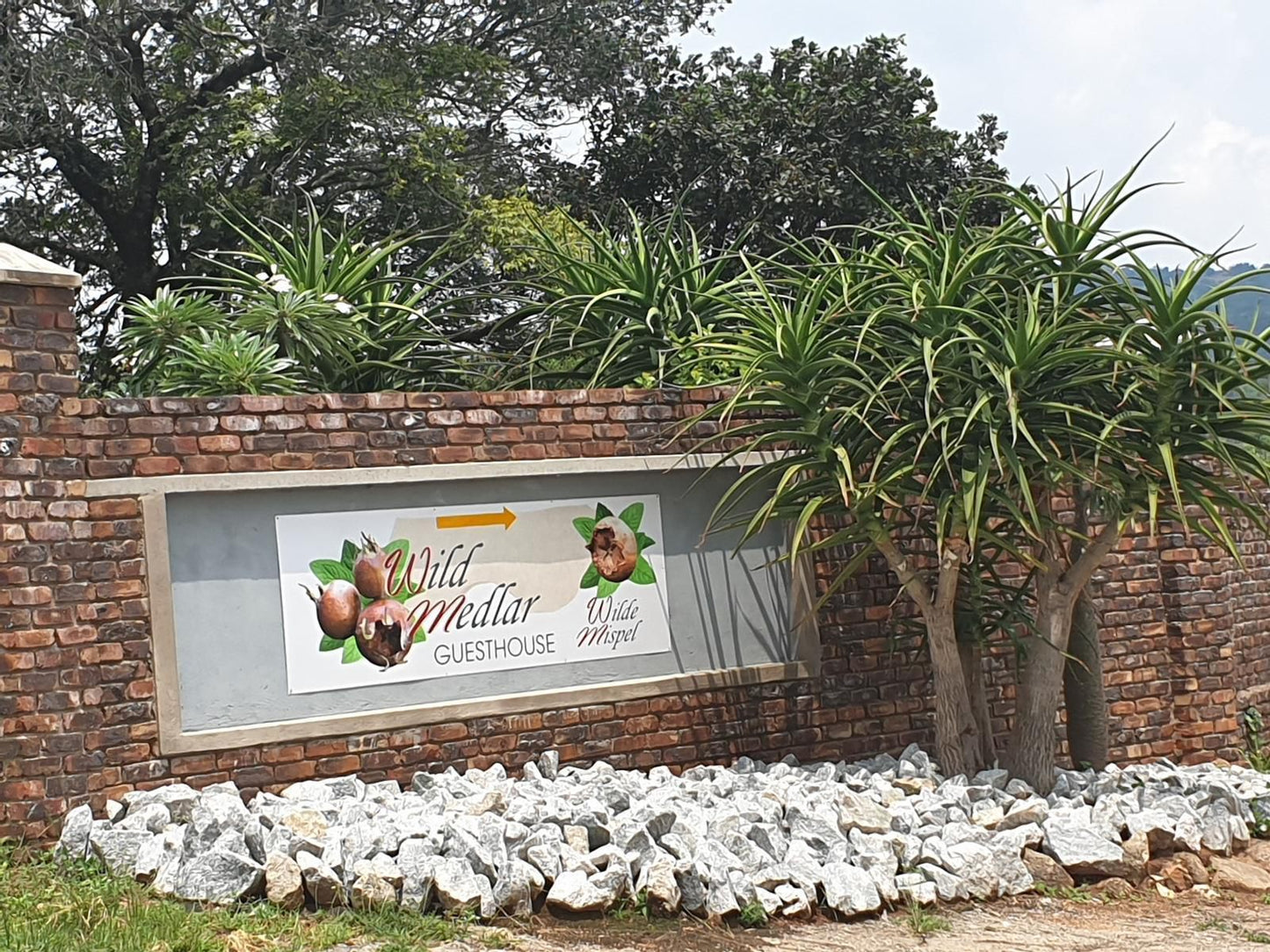Wild Medlar Accommodation And Venue Nelspruit Mpumalanga South Africa Palm Tree, Plant, Nature, Wood