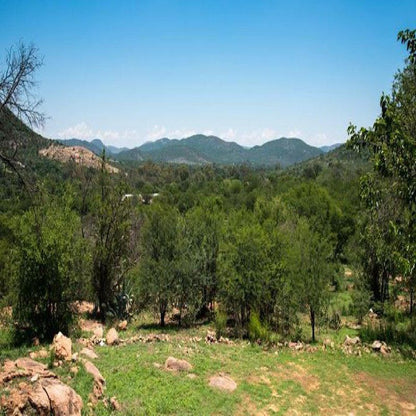 Wild Olive Country Retreat Parys Free State South Africa Complementary Colors, Forest, Nature, Plant, Tree, Wood