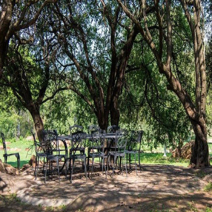 Wild Olive Country Retreat Parys Free State South Africa Tree, Plant, Nature, Wood