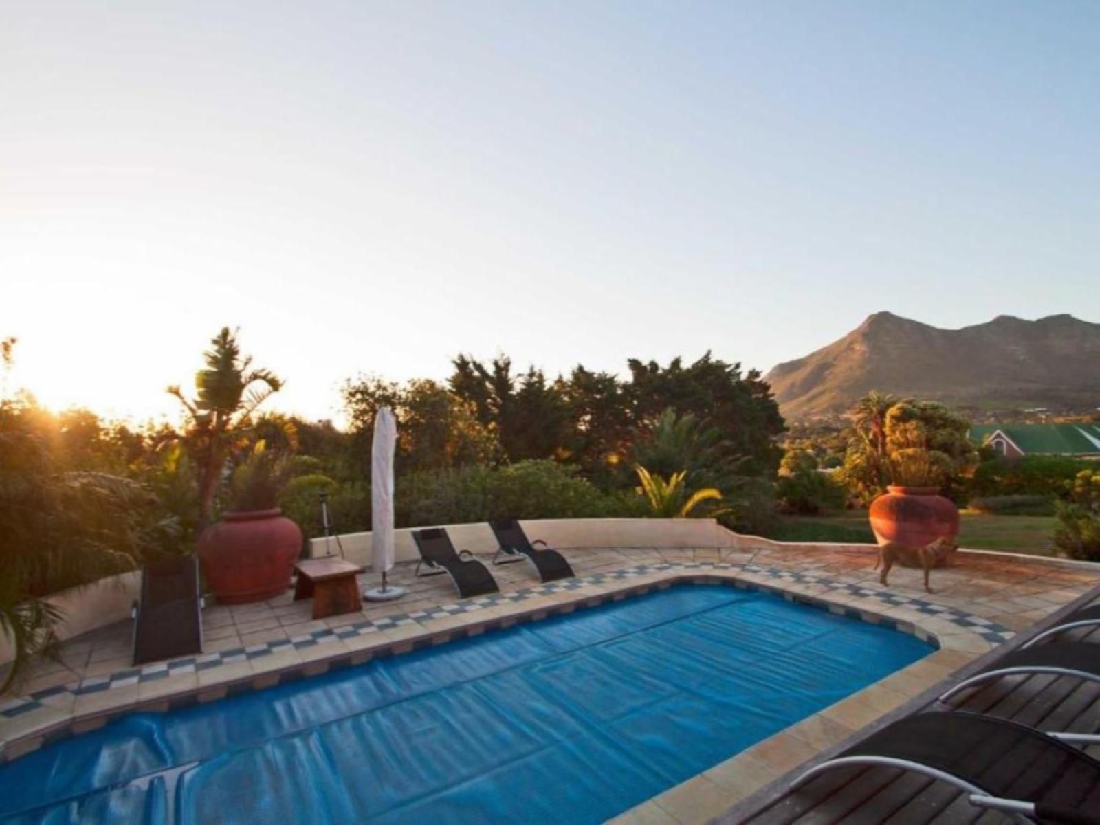 Wild Rose Country Lodge, Swimming Pool