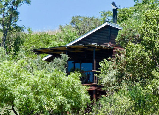 Wild Syringa Magaliesburg Gauteng South Africa Complementary Colors, Building, Architecture, Cabin