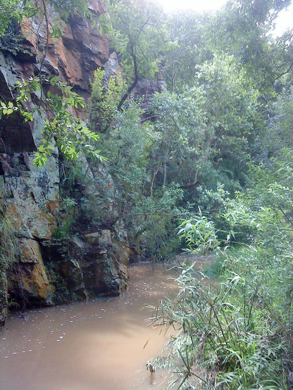 Wild Syringa Magaliesburg Gauteng South Africa Canyon, Nature, Forest, Plant, Tree, Wood, River, Waters, Waterfall