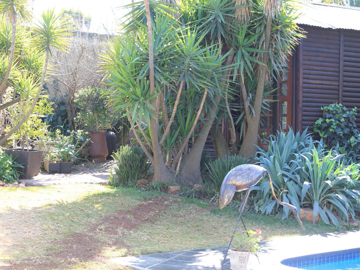 Wild Tree Lodge, Palm Tree, Plant, Nature, Wood, Garden