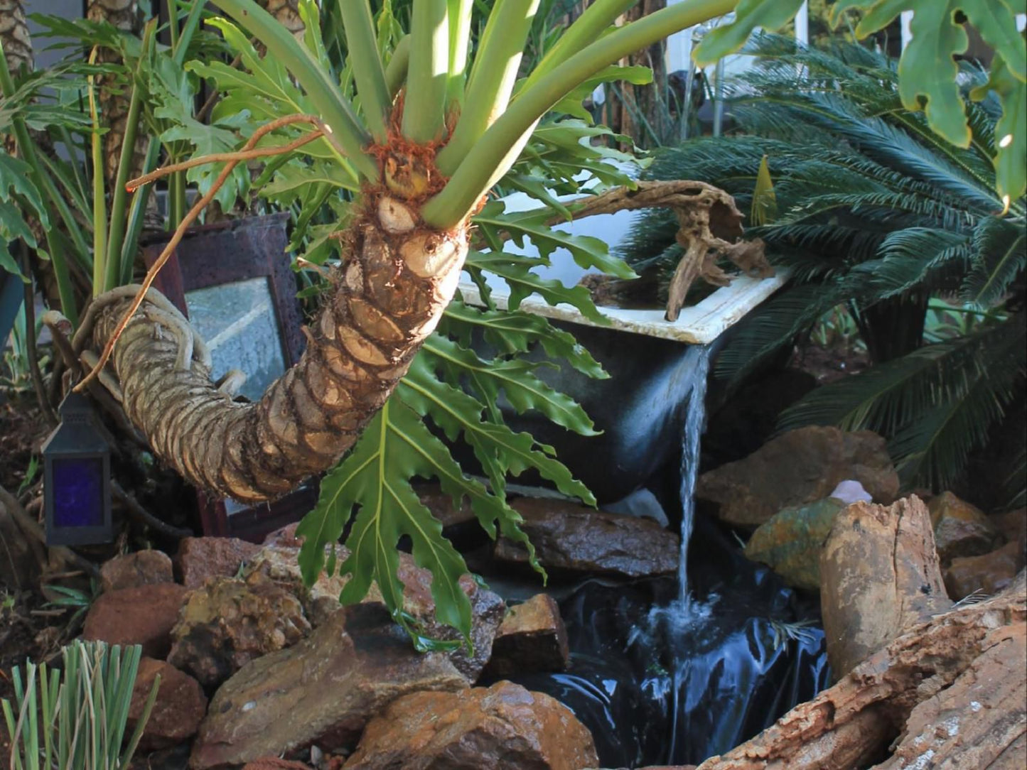 Wild Tree Lodge, Plant, Nature