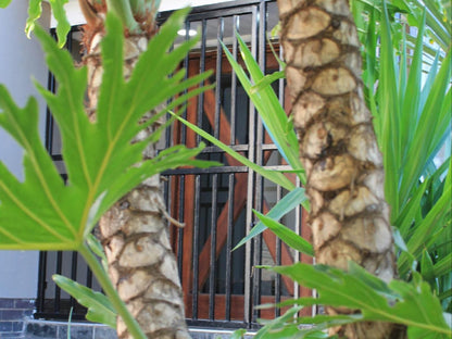 Wild Tree Lodge, Palm Tree, Plant, Nature, Wood