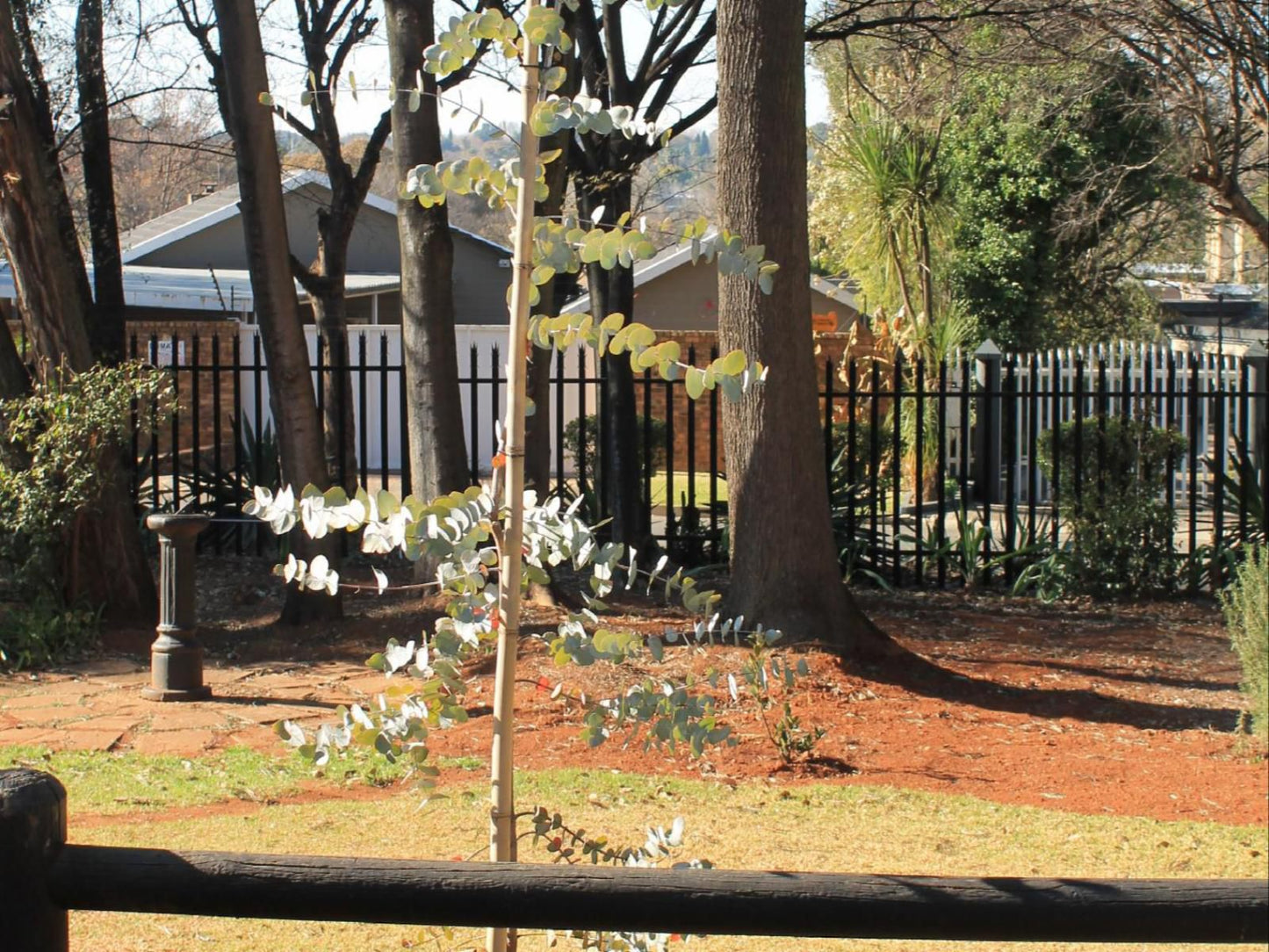 Wild Tree Lodge, Plant, Nature, Garden