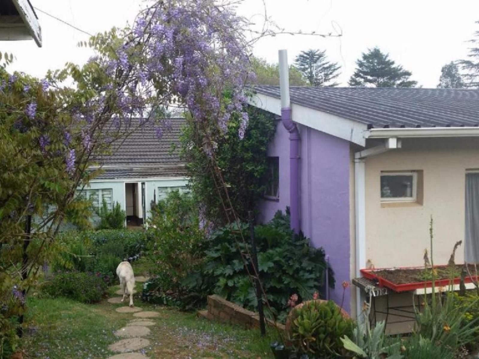 Wild Berry Guest Farm Mooi River Kwazulu Natal South Africa Building, Architecture, House, Plant, Nature, Window, Garden