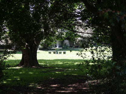 Wild Berry Guest Farm Mooi River Kwazulu Natal South Africa Tree, Plant, Nature, Wood, Cemetery, Religion, Grave, Framing