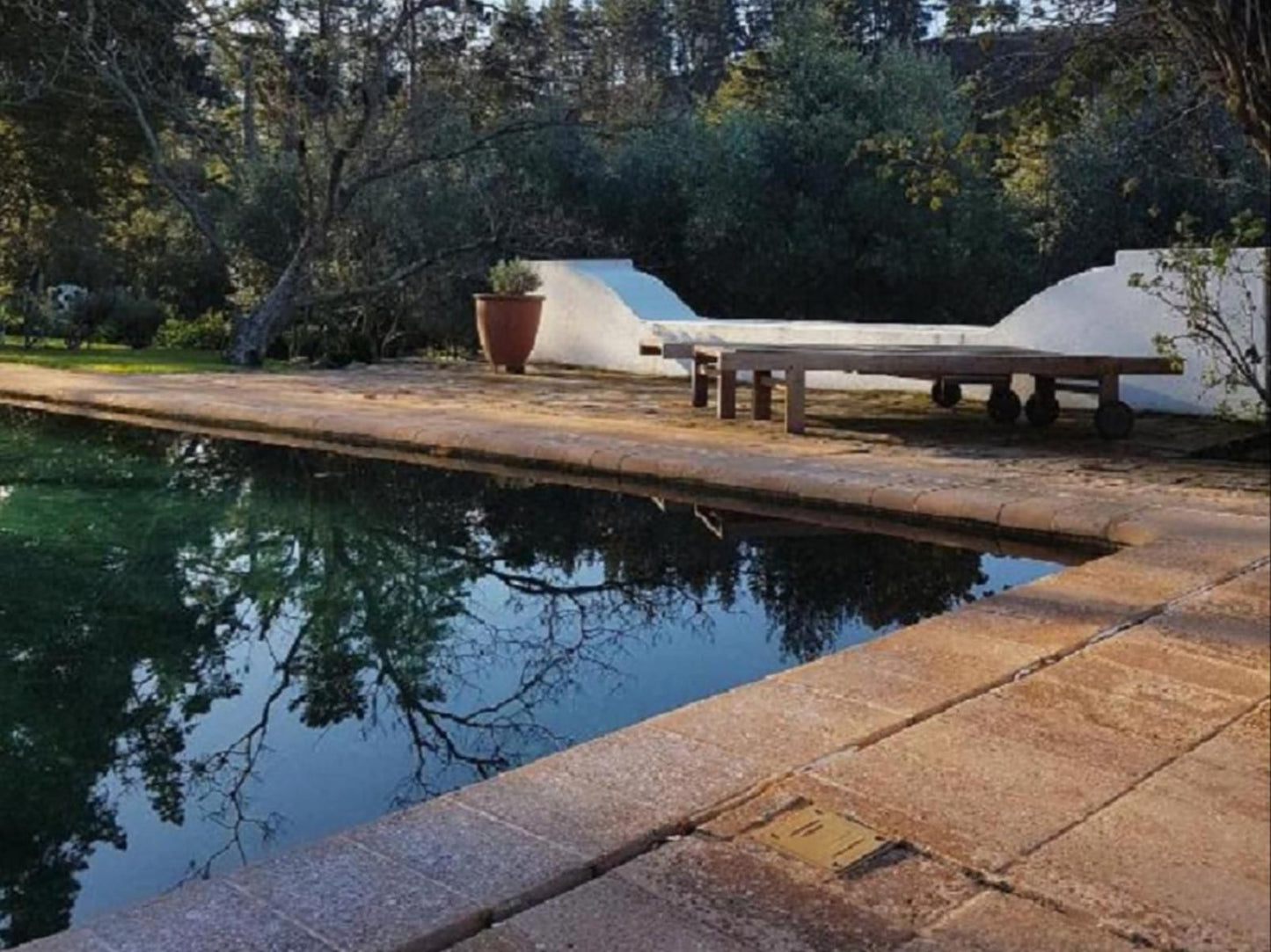Wildekrans Country House Elgin Western Cape South Africa Garden, Nature, Plant, Swimming Pool