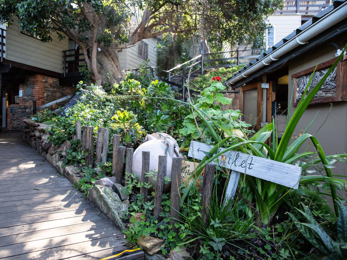 Wilderness Beach House Backpackers Lodge Wilderness Western Cape South Africa House, Building, Architecture, Plant, Nature, Garden