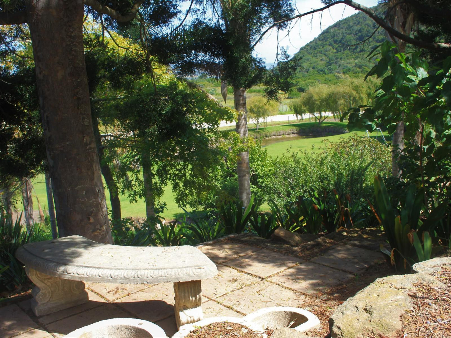 Wilderness Farmhouse Duiwe River Wilderness Western Cape South Africa Palm Tree, Plant, Nature, Wood, Garden