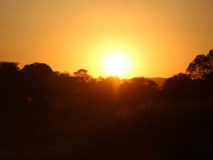 Wildnut Lodge And Game Farm Makhado Louis Trichardt Limpopo Province South Africa Colorful, Sky, Nature, Sunset