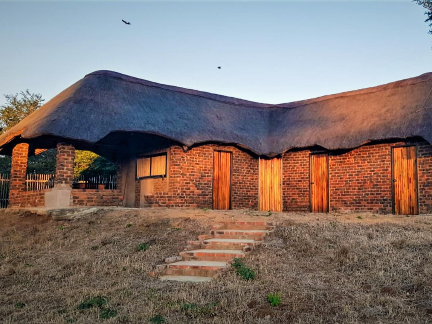 Wildnut Lodge And Game Farm Makhado Louis Trichardt Limpopo Province South Africa Complementary Colors, Brick Texture, Texture