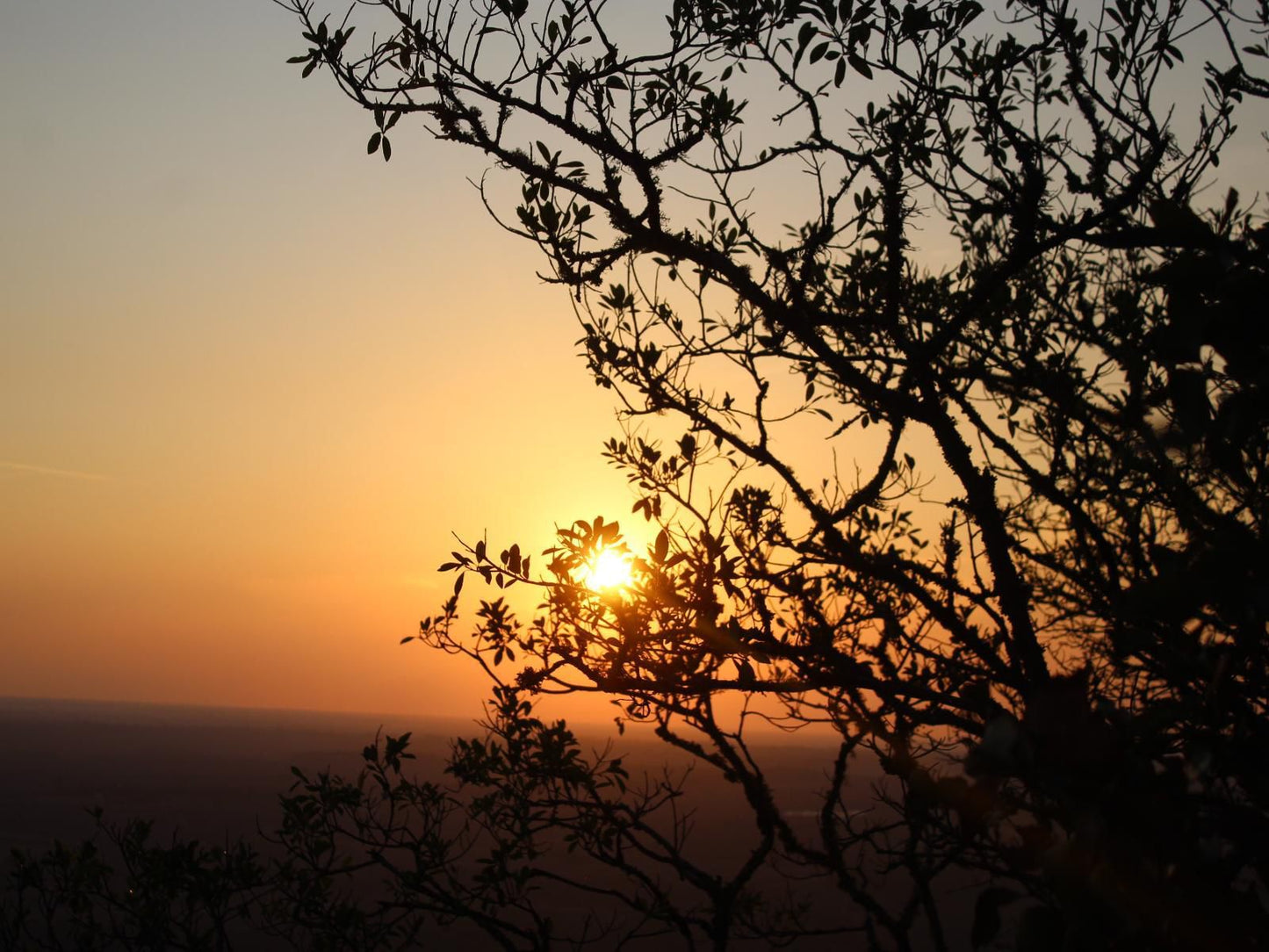 Wildnut Lodge And Game Farm Makhado Louis Trichardt Limpopo Province South Africa Silhouette, Sky, Nature, Sunset