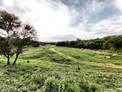 Wildnut Lodge And Game Farm Makhado Louis Trichardt Limpopo Province South Africa Field, Nature, Agriculture, Tree, Plant, Wood, Lowland