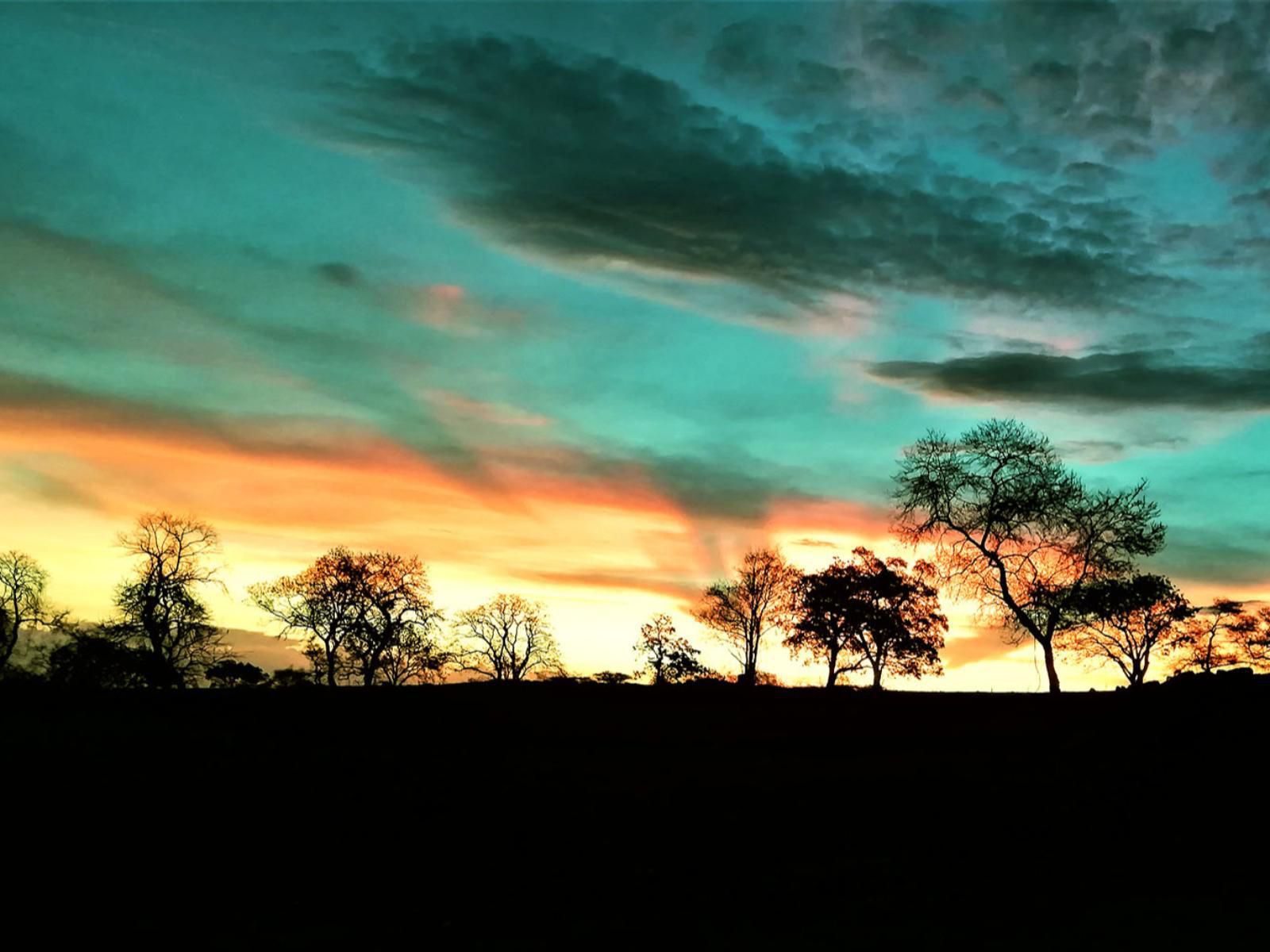 Wildnut Lodge And Game Farm Makhado Louis Trichardt Limpopo Province South Africa Complementary Colors, Sky, Nature, Sunset