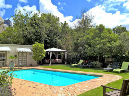 Wild Olive Guest House Newlands Cape Town Western Cape South Africa Complementary Colors, Garden, Nature, Plant, Swimming Pool