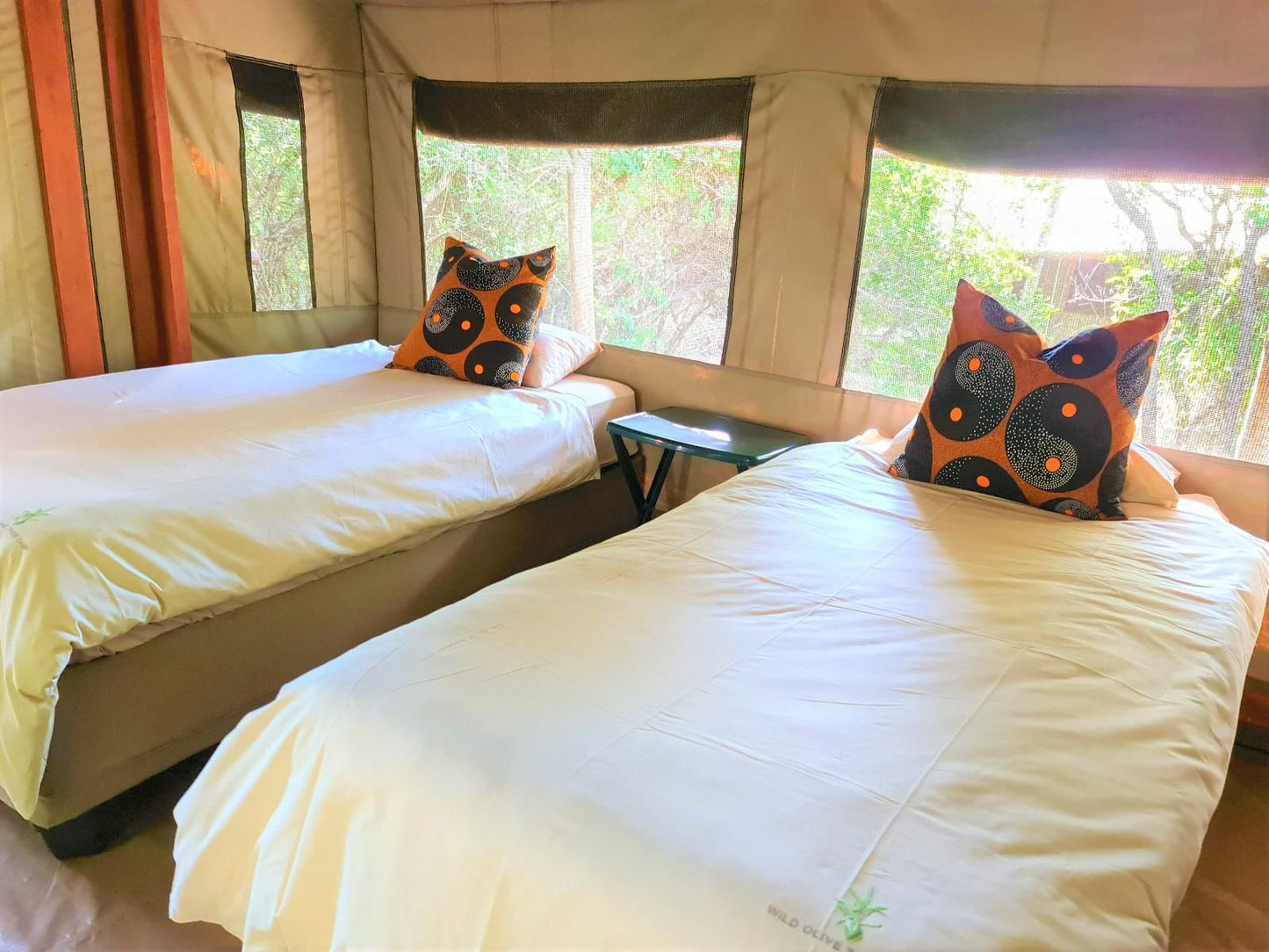 Wild Olive Tree Camp Manyeleti Reserve Mpumalanga South Africa Bedroom