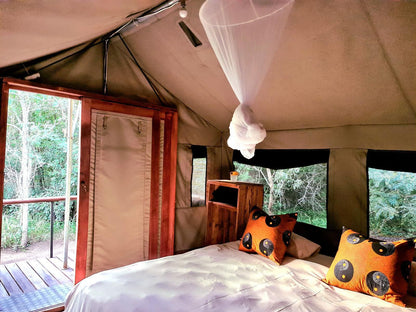 Wild Olive Tree Camp Manyeleti Reserve Mpumalanga South Africa Tent, Architecture, Bedroom