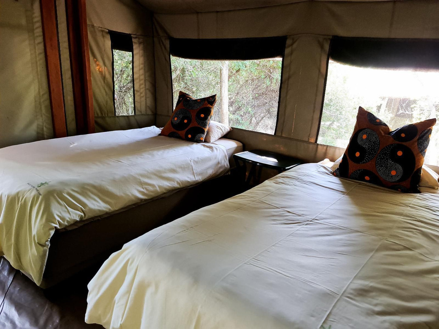 Wild Olive Tree Camp Manyeleti Reserve Mpumalanga South Africa Bedroom