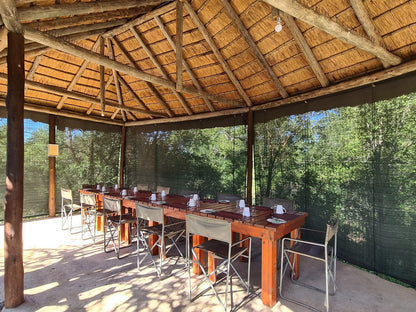 Wild Olive Tree Camp Manyeleti Reserve Mpumalanga South Africa Bar